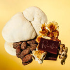 Raaka Cocoa + Mushroom Blend dark chocolate bar with logo among cocoa beans and fungi