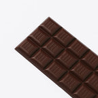 Dandelion Camino Verde Ecuador 100% dark chocolate bar with glossy embossed squares