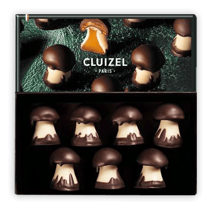 Michel Cluizel Chocolate Mushroom Truffles w/ Caramel