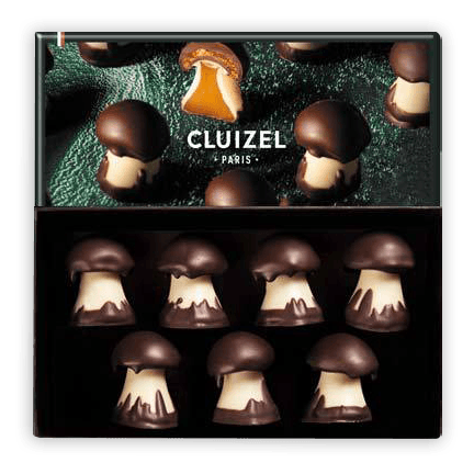Michel Cluizel chocolate mushroom truffles with caramel in black box