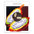 Naive Cacao Pulp 70% box with open cacao pod and beans illustration