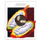 Naive Cacao Pulp 70% box with open cacao pod and beans illustration