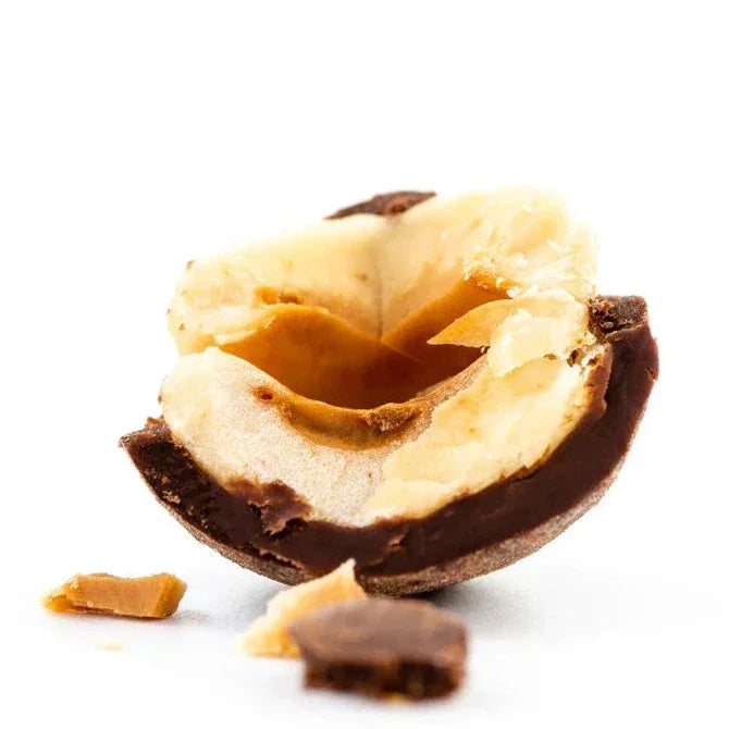 Halved Soma dark chocolate covered hazelnut with glossy shell and creamy filling