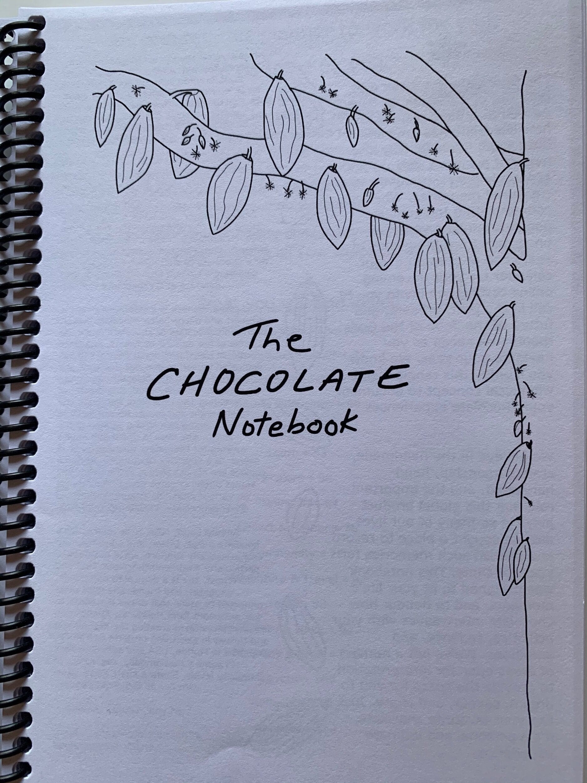 The Chocolate Notebook with cocoa pods cover art